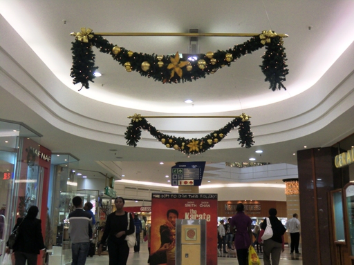 CIMG0201-1.jpg