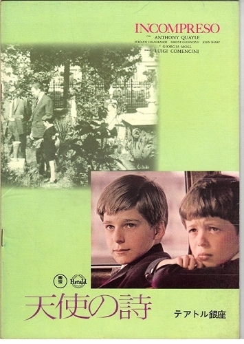 91Jno3TRmML__SL1500_ (355x500).jpg