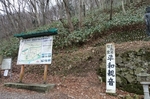 DSC07110 (500x333).jpg
